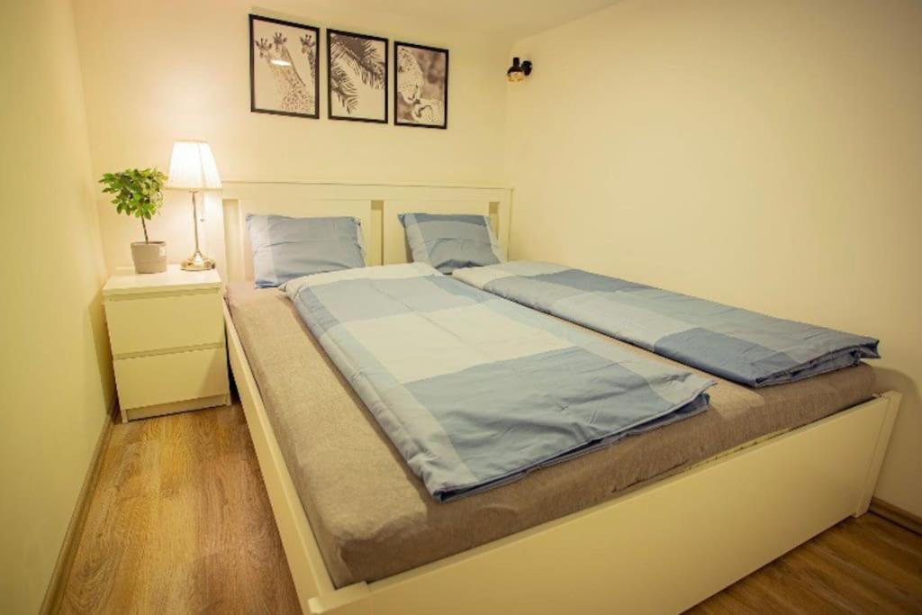 Cosy 2 Bedroom Flat In Akacfa St., Sol Будапеща Екстериор снимка