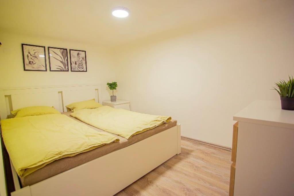Cosy 2 Bedroom Flat In Akacfa St., Sol Будапеща Екстериор снимка